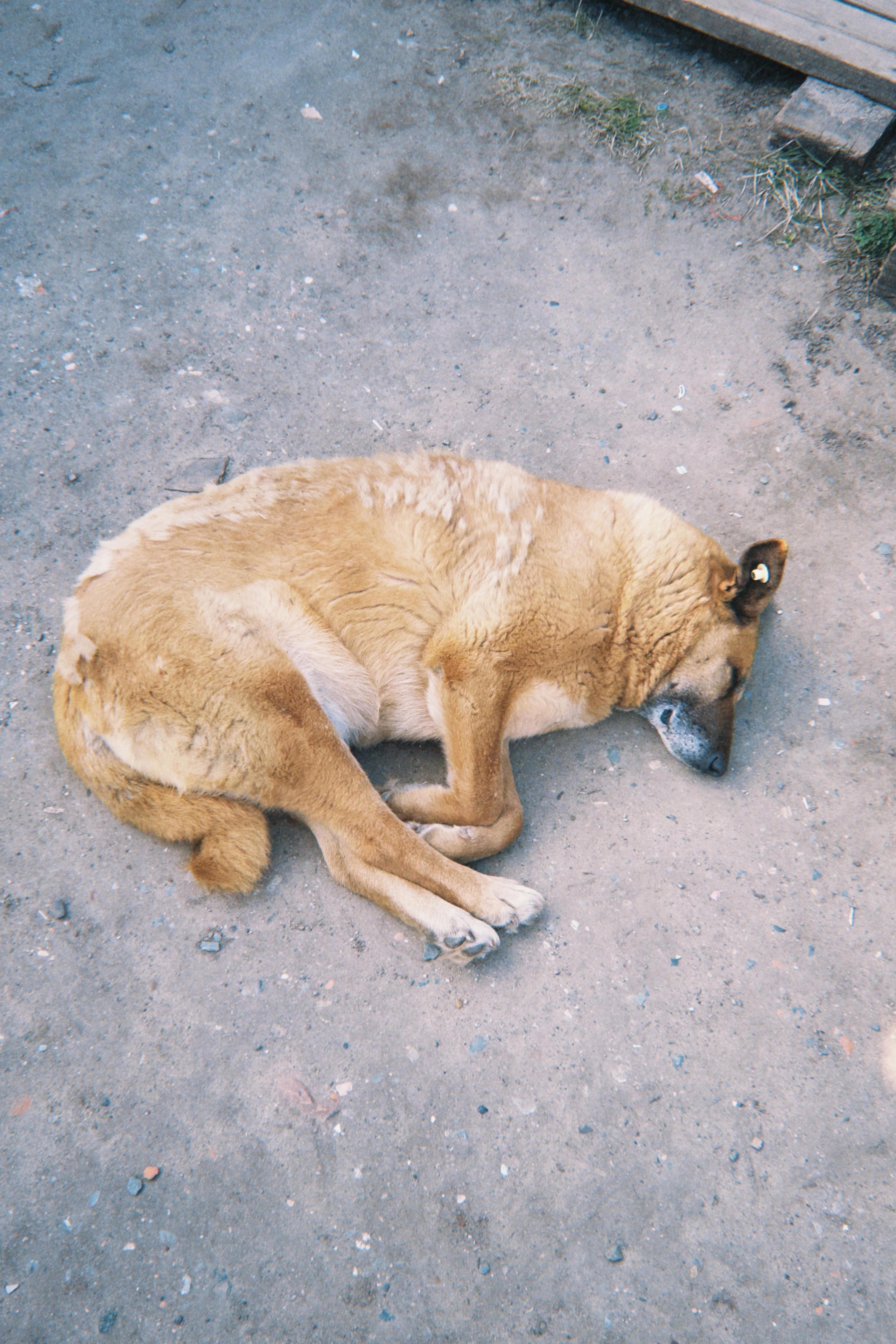 Lost and Found